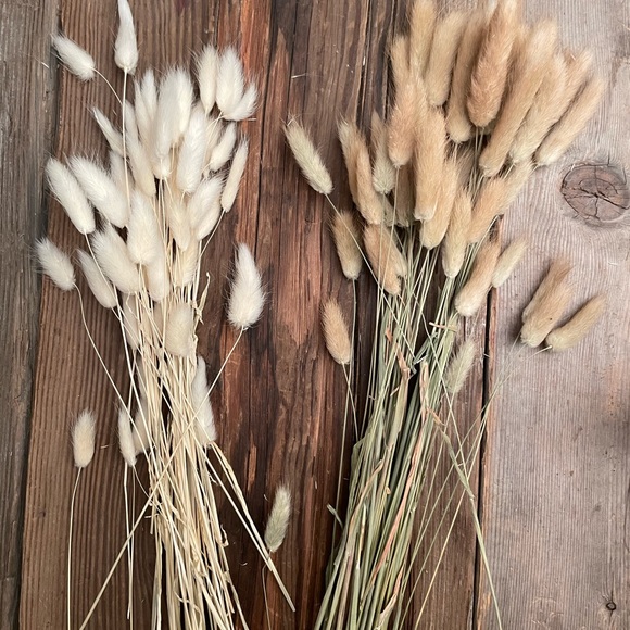 White Bunny Tails - Picture 2 of 2